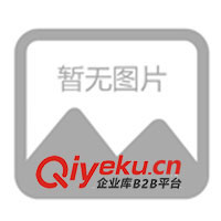 供應(yīng)1KW可充電器逆變器inverter(圖)